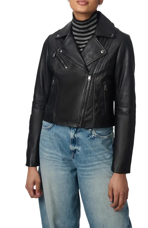 Bernardo Crop Leather Moto Jacket in Black at Nordstrom, Size Small | Nordstrom