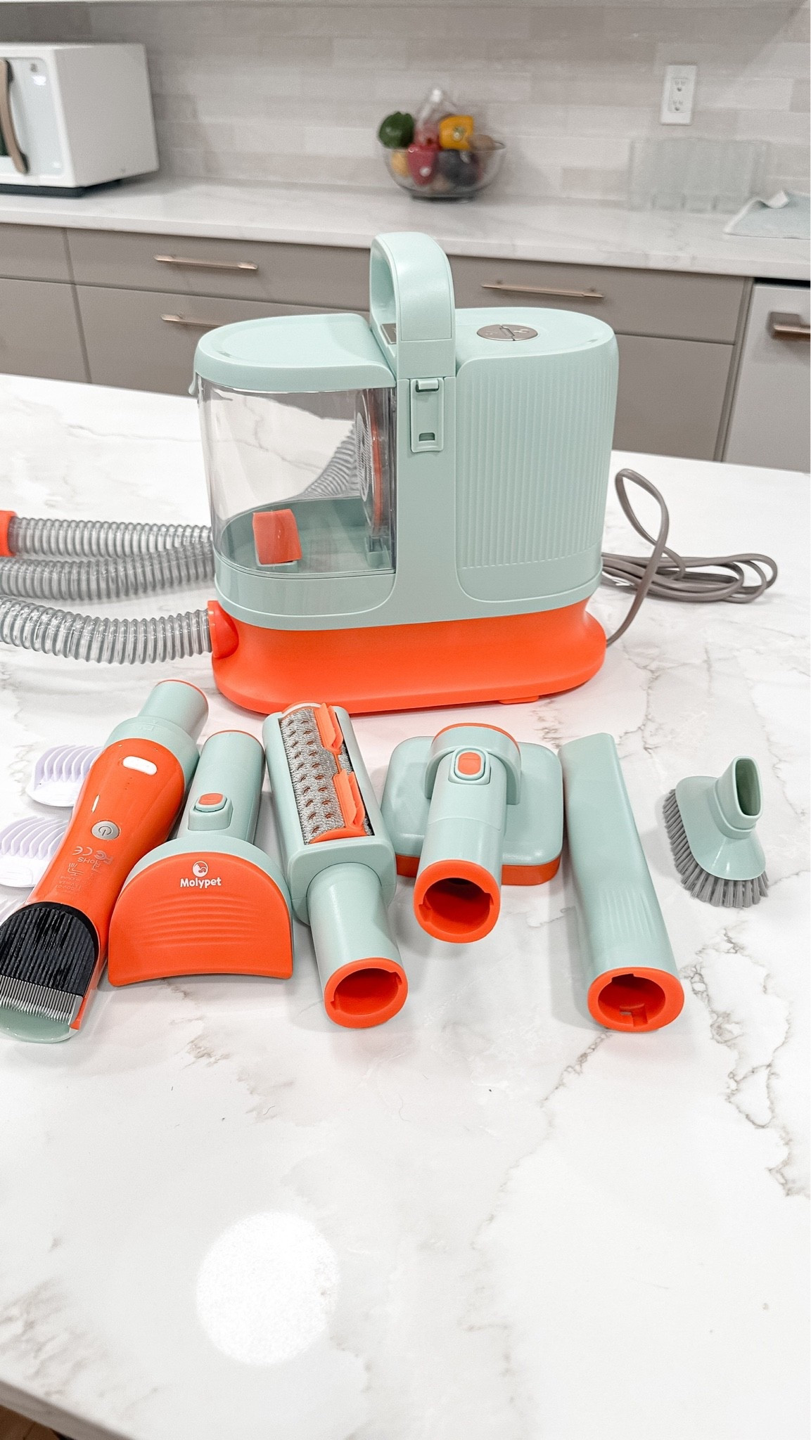 Pet grooming vacuum

#LTKdayinmylife #LTKHome