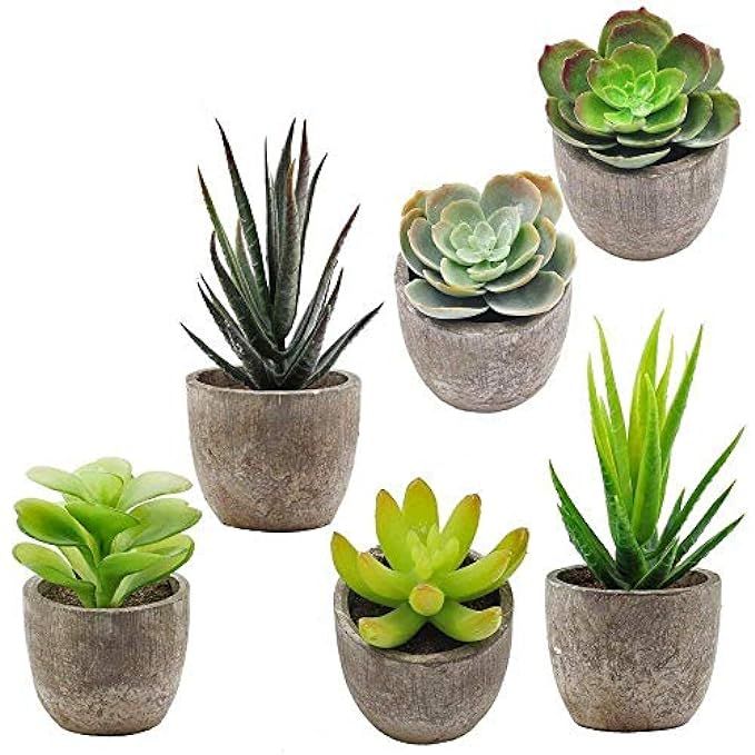 Supla 6 Pcs Assorted Potted Succulents Plants Decorative Artificial Succulent Plants Potted Faux Cac | Amazon (US)