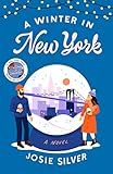 A Winter in New York: A Novel     Paperback – October 3, 2023 | Amazon (US)