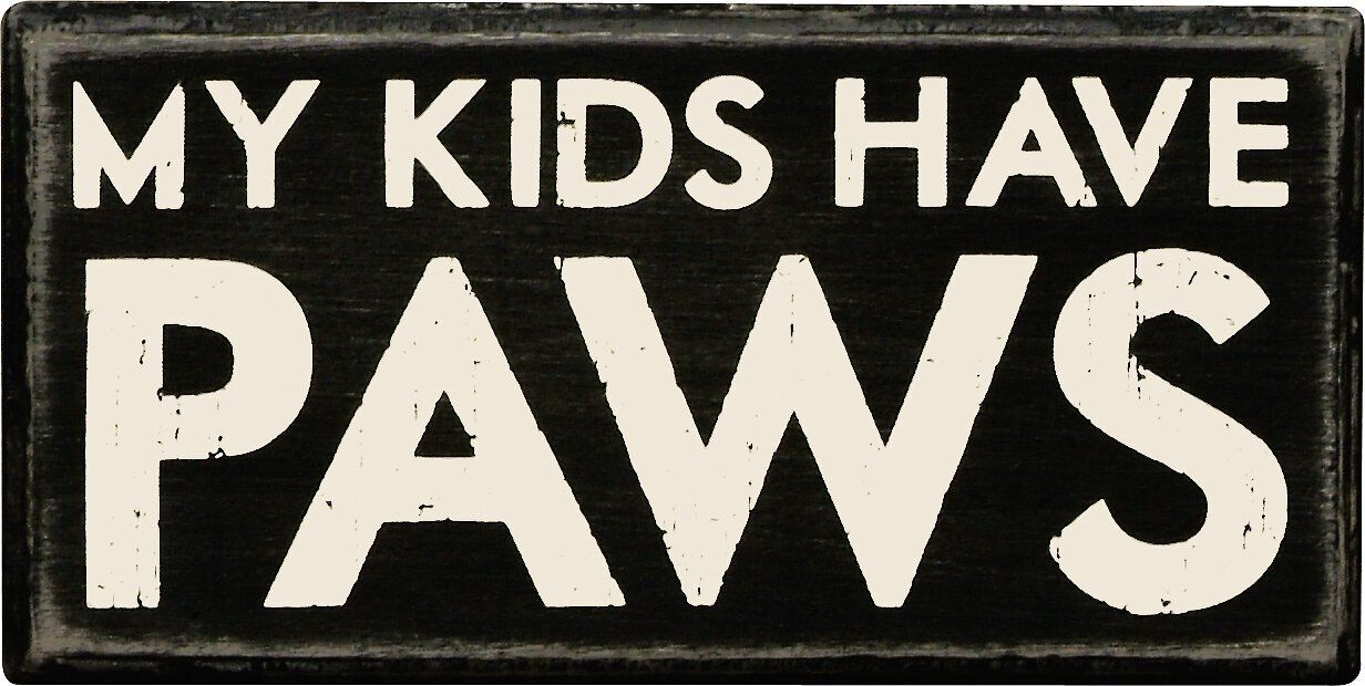 Primitives By Kathy "My Kids Have Paws" Box Sign | Chewy.com