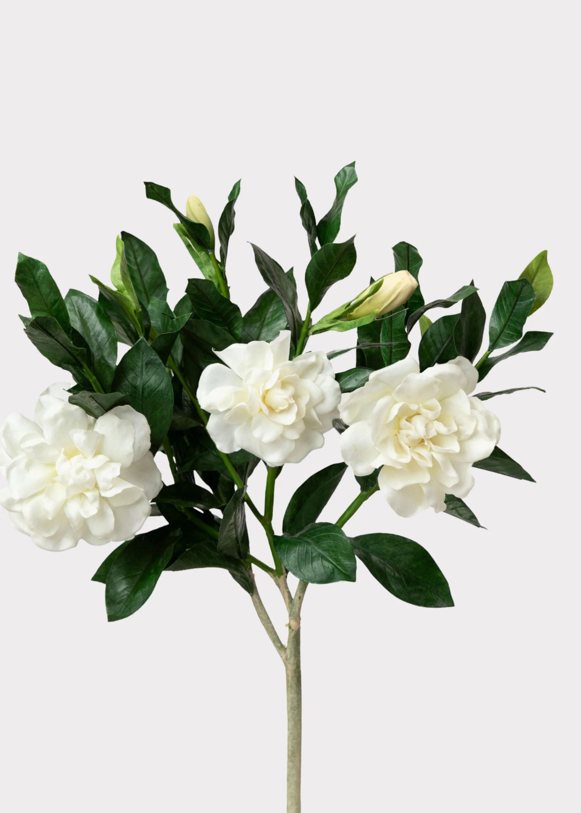 SAVE - Premium Artificial Gardenia Flower Branch- 19 | Afloral