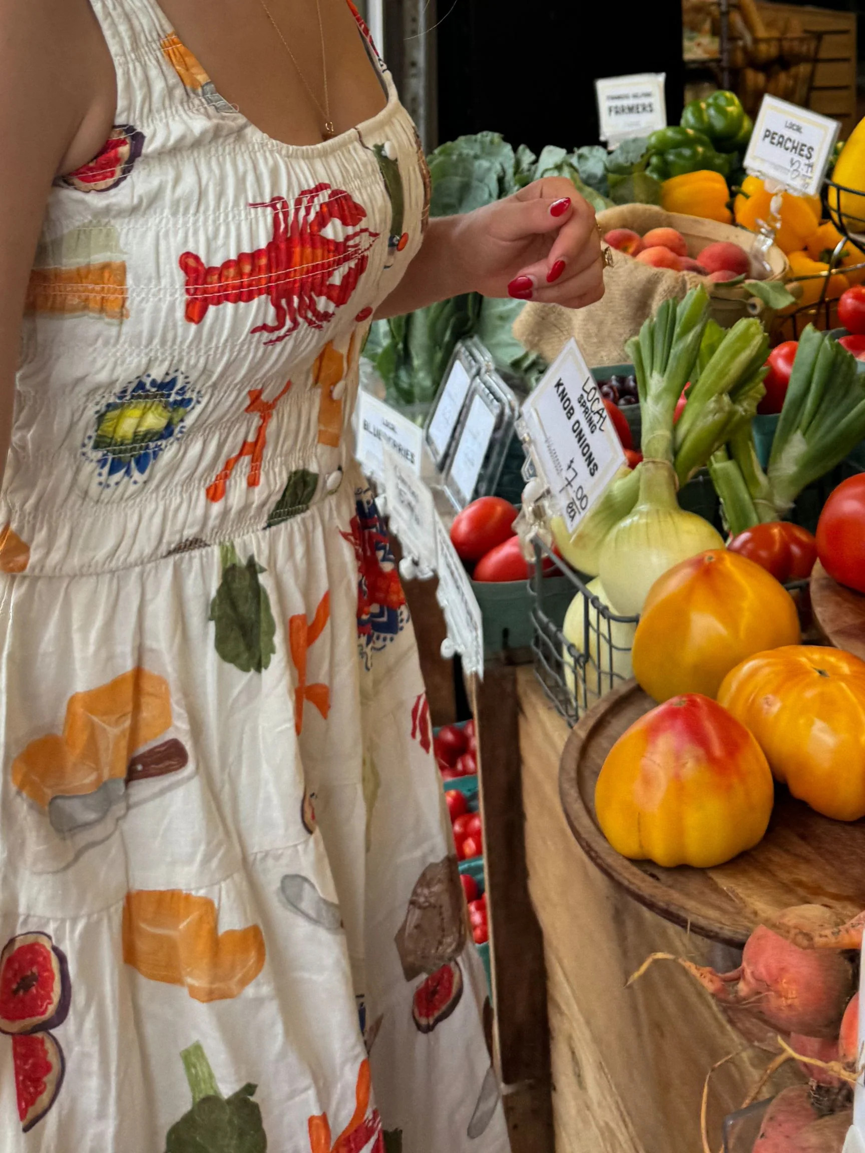 Bon Appetit Smocked Dress | The Native One