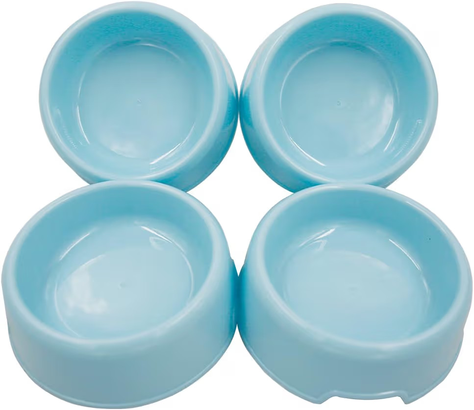 Dog Bowls Cat Bowls (Blue 4-Pack) | Amazon (US)