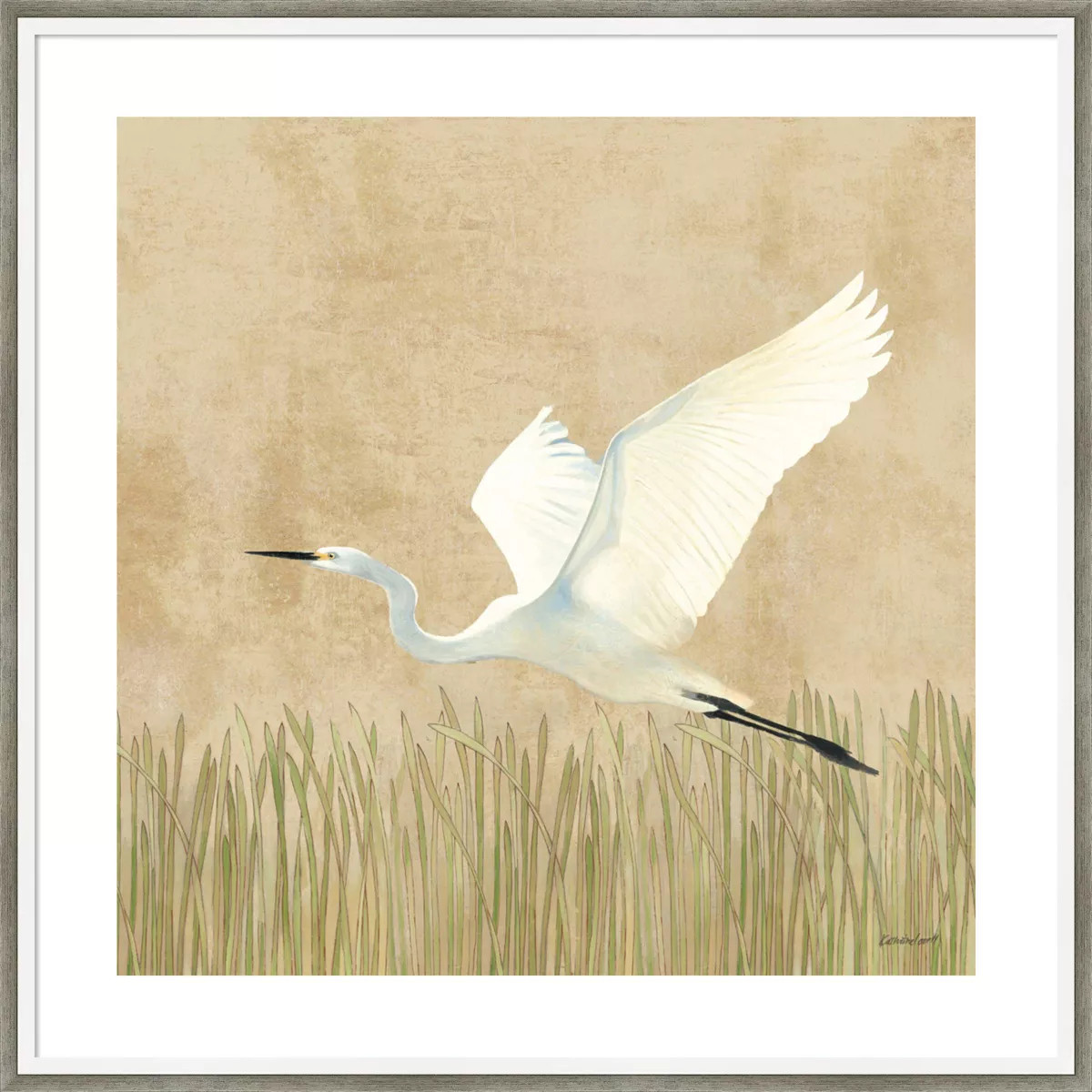 25" x 25" Egret Alighting II by Kathrine Lovell Wood Framed Wall Art Print - Amanti Art: Giclee L... | Target