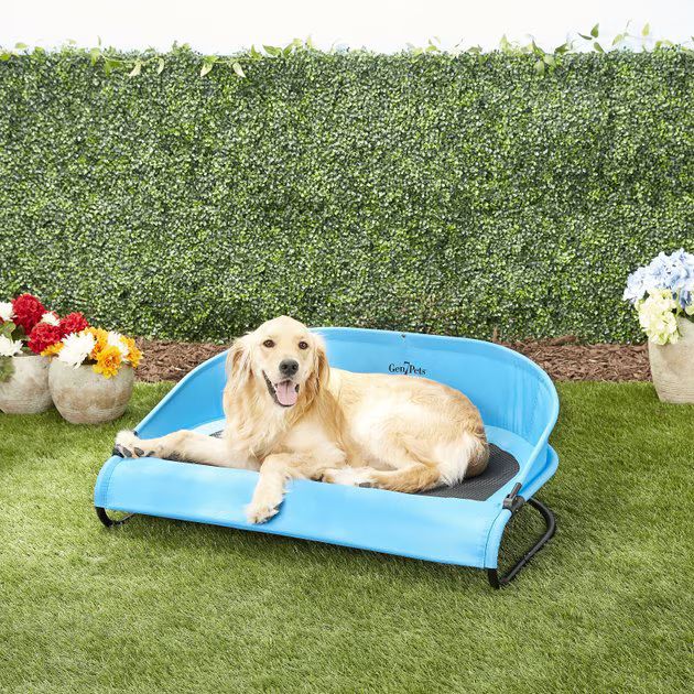 Gen7Pets Cool-Air Cot Elevated Dog Bed, Trailblazer Blue, Large | Chewy.com