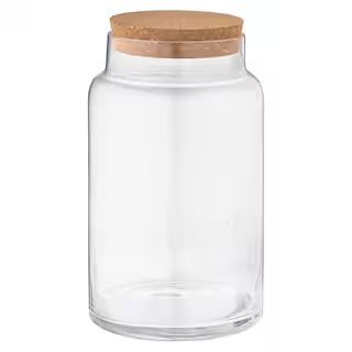 Cylindrical Terrarium Jar with Cork By Ashland® | Michaels Stores