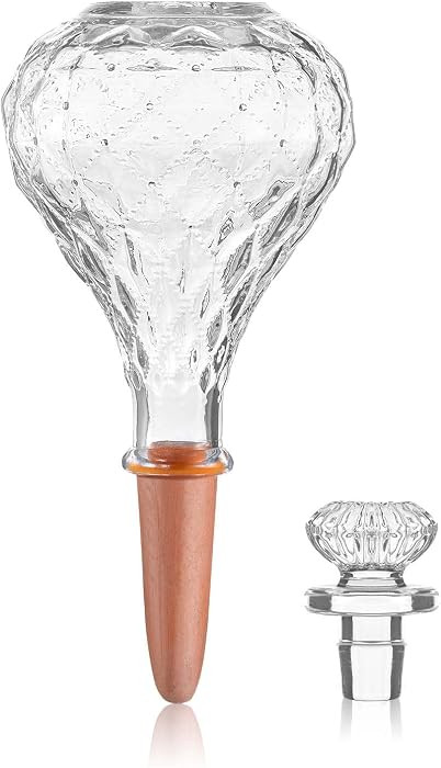 12 oz Plant Watering Globes, Clear Glass Self Watering Bulbs Top Fill with Terracotta Spikes Stak... | Amazon (US)