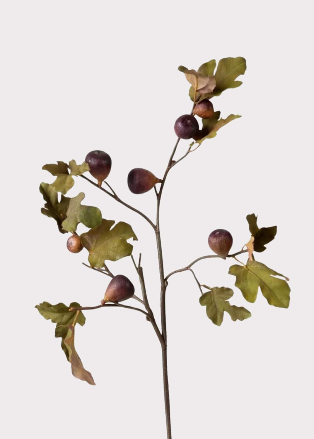 Afloral Eggplant Faux Fig Branch with Dried Look - 37" | Amazon (US)