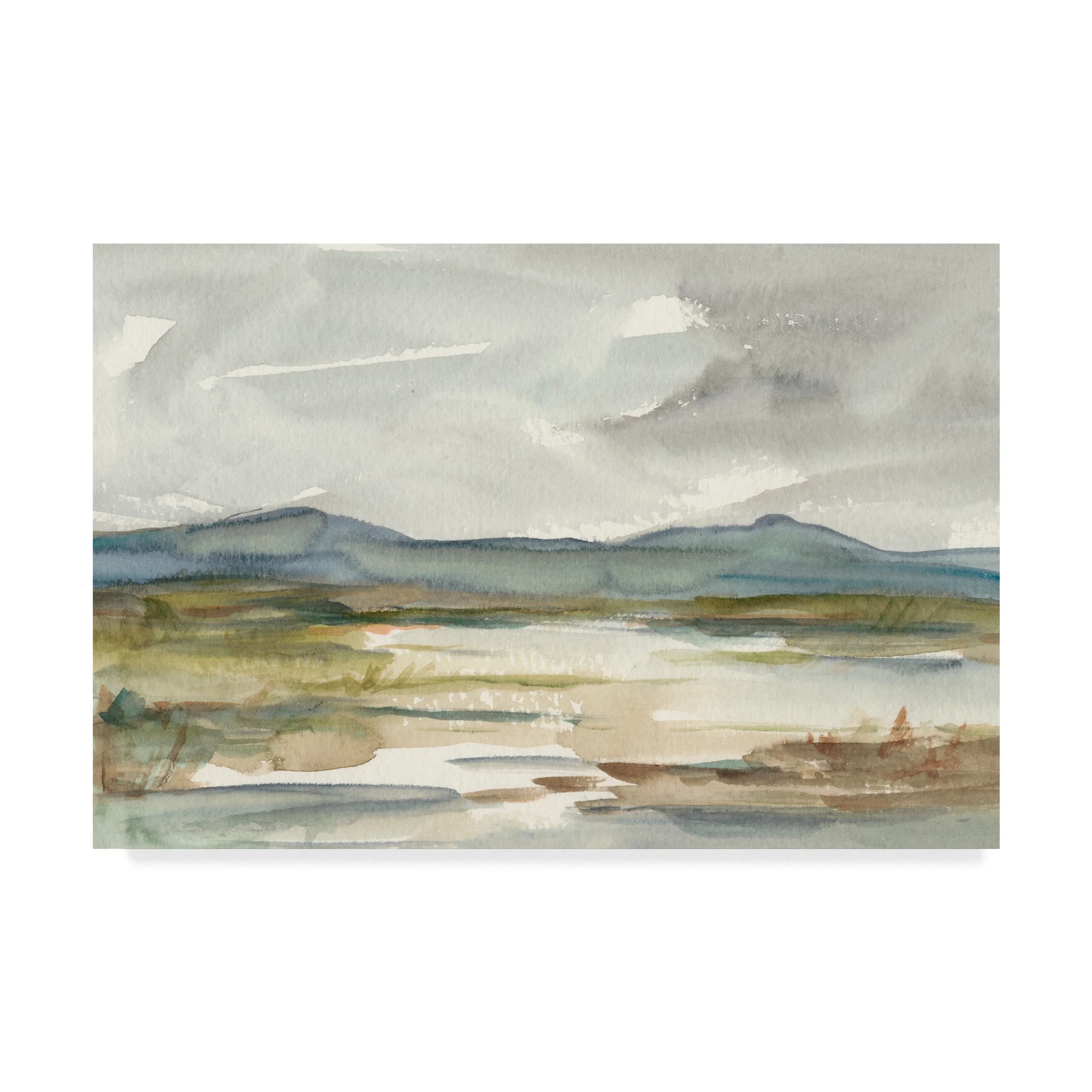 Trademark Fine Art 'Overcast Wetland I' Canvas Art by Ethan Harper - Walmart.com | Walmart (US)