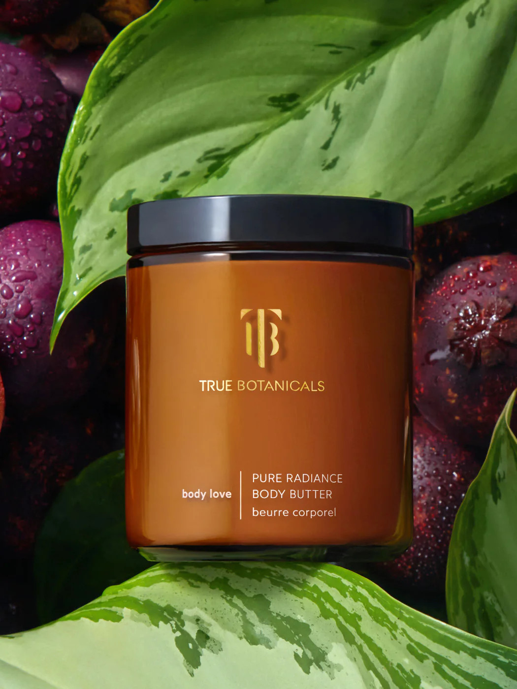 Pure Radiance Body Butter | True Botanicals