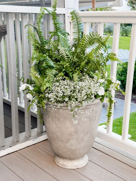 This pottery barn and Ballard look for less from Walmart is so beautiful! $20 light weight pot with drainage. I added ferns, trailing vinca, and diamond frost! 

coastal home outdoor porch patio planter summer pot 



#LTKHome #LTKSaleAlert #LTKVideo