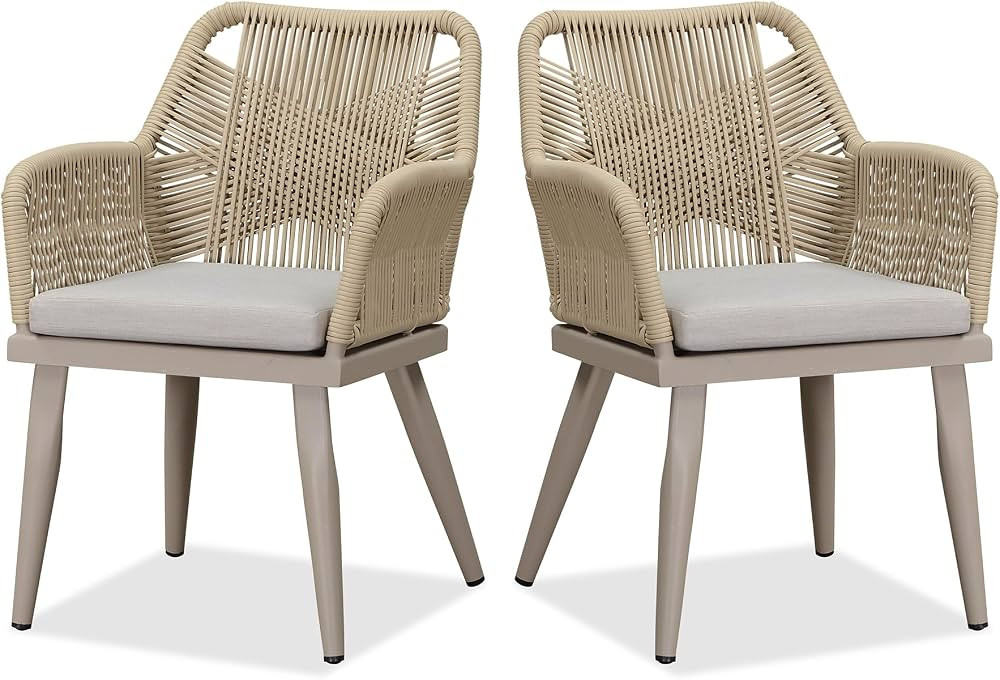 PURPLE LEAF 2 Pieces Outdoor Patio Dining Chairs All-Weather PE Rattan Patio Furniture with All A... | Amazon (US)