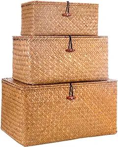 Ruosuruosu Decorative Wicker Storage Bins with Lids,Woven Seagrass Storage Baskets for Kids Toys,... | Amazon (US)