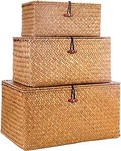 Ruosuruosu Decorative Wicker Storage Bins with Lids,Woven Seagrass Storage Baskets for Kids Toys,... | Amazon (US)