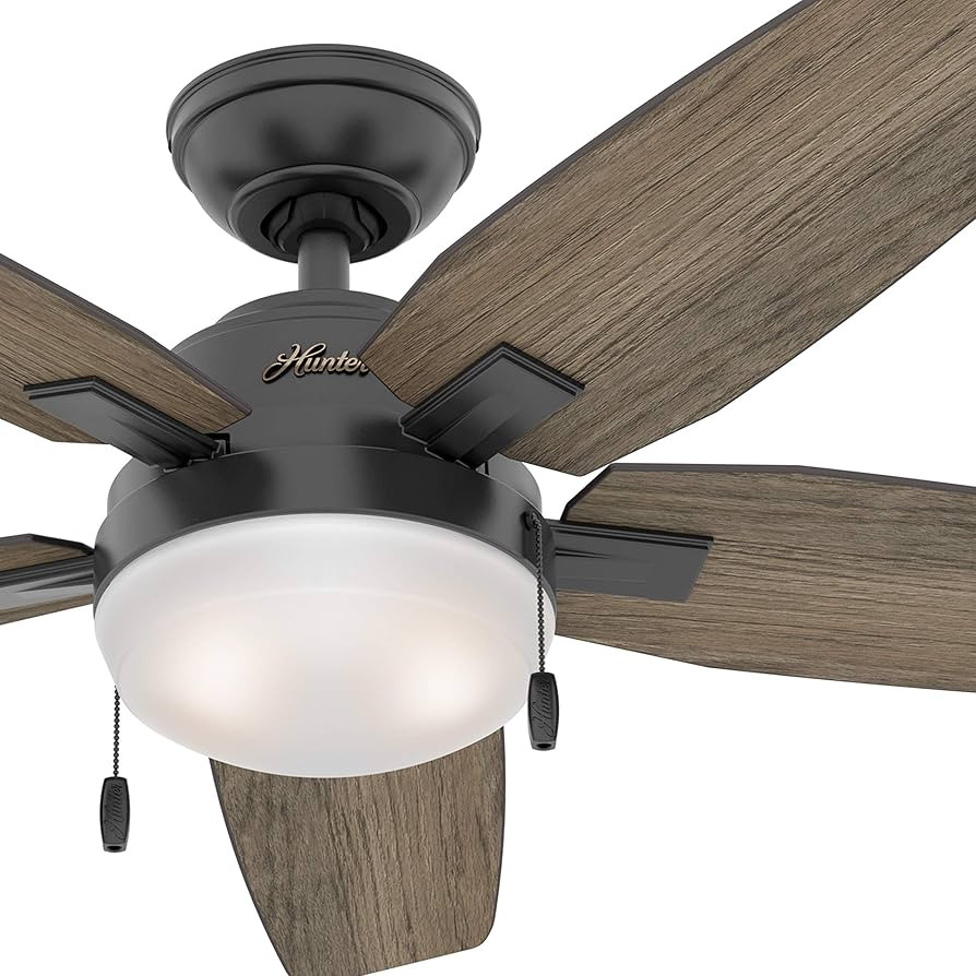 Hunter Fan 46 inch Contemporary Matte Black Indoor Ceiling Fan with Light Kit (Renewed) | Amazon (US)