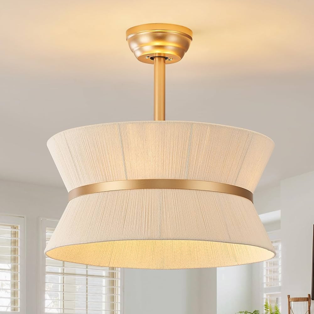 Boho Fandelier Ceiling Fan with Light and Remote Rattan Chandelier Fan Gold Caged Ceiling Fan wit... | Amazon (US)