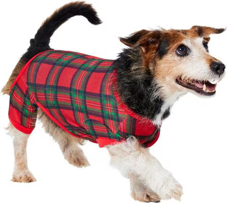 Frisco Christmas Plaid Dog & Cat Jersey PJs, Medium | Chewy