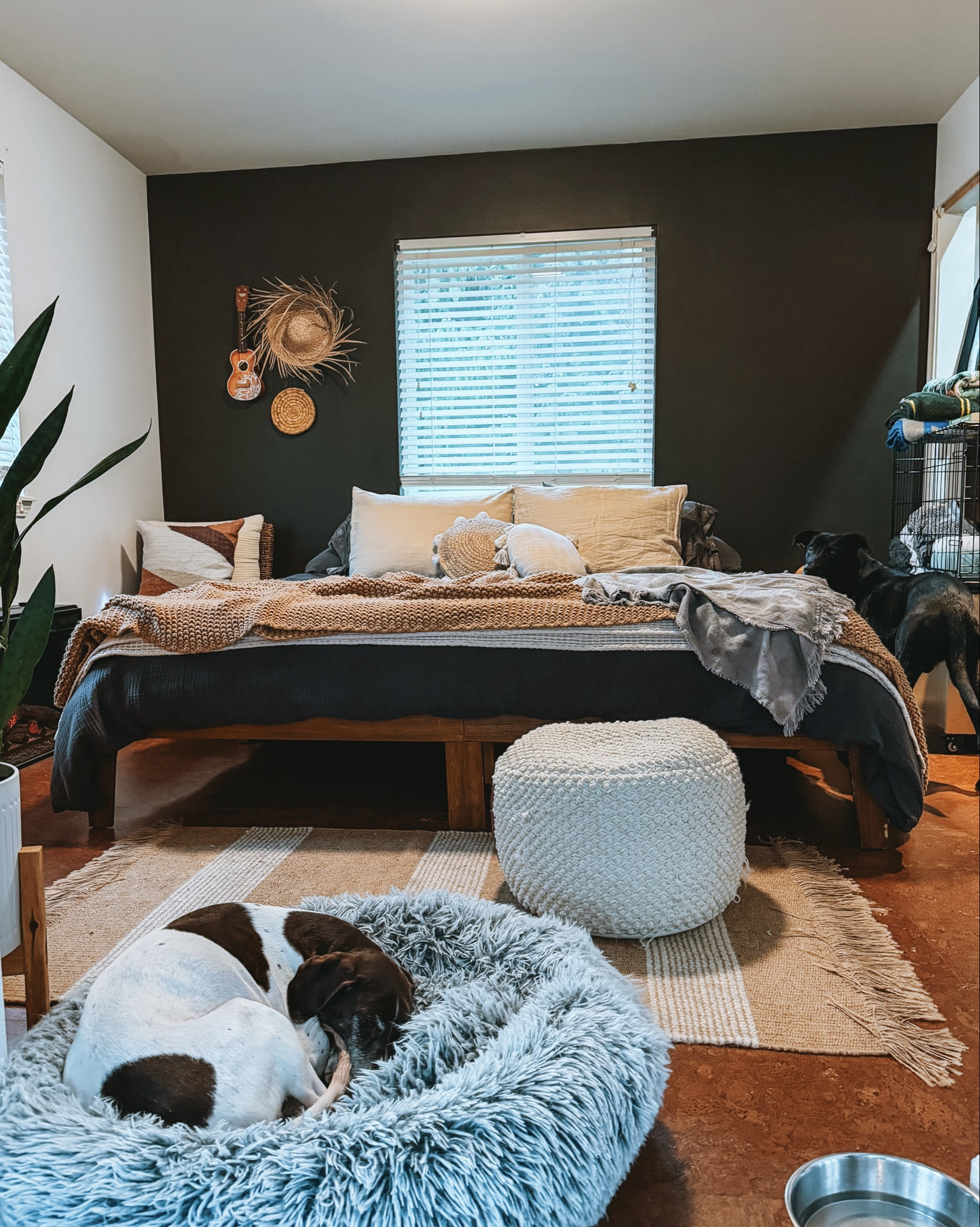 Room refresh, moody tones🫶🏻