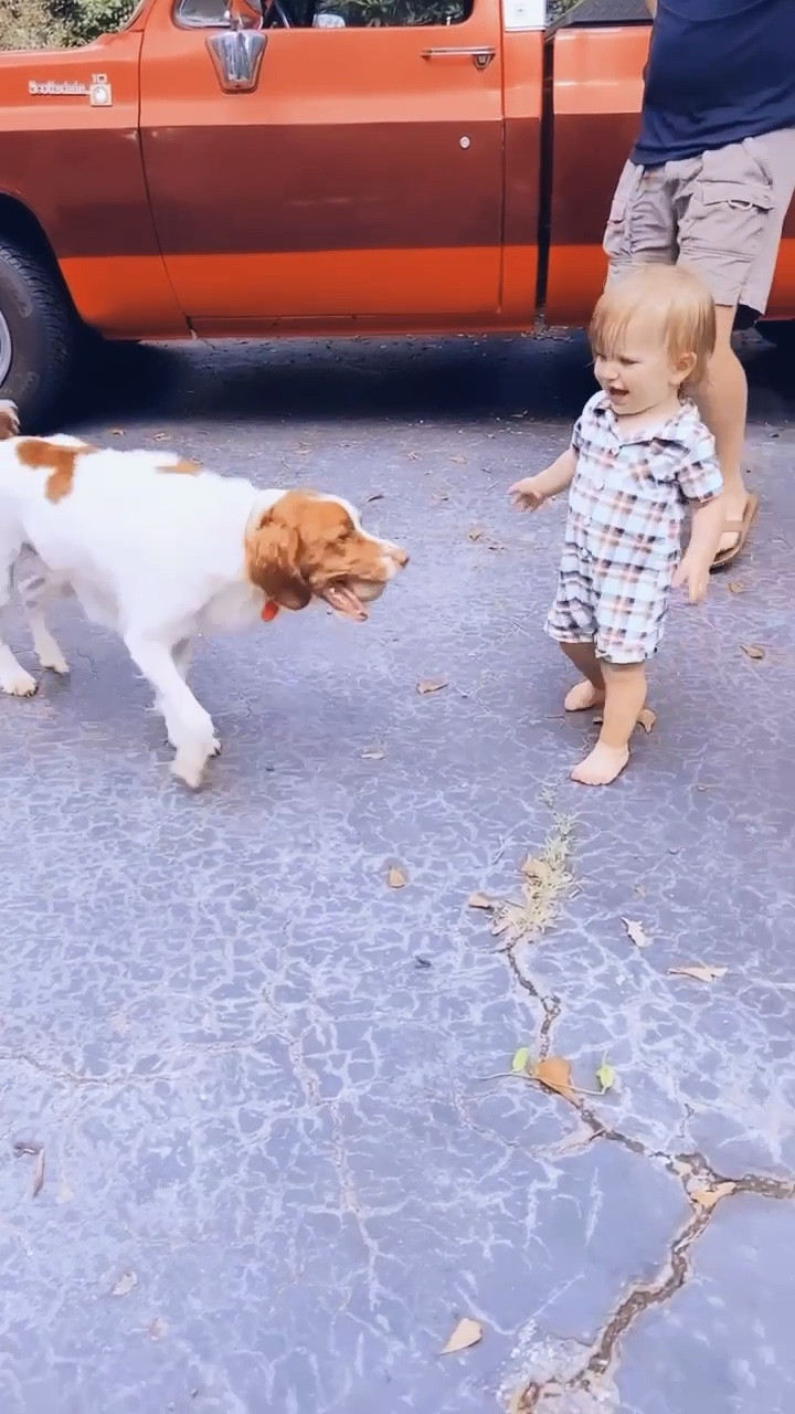these truly are the days I always prayed for 👼🏼🥹🐶 playing ball out in the backyard with my boys - sweet Sunday afternoon! 

#LTKfamily #LTKhome #LTKbaby