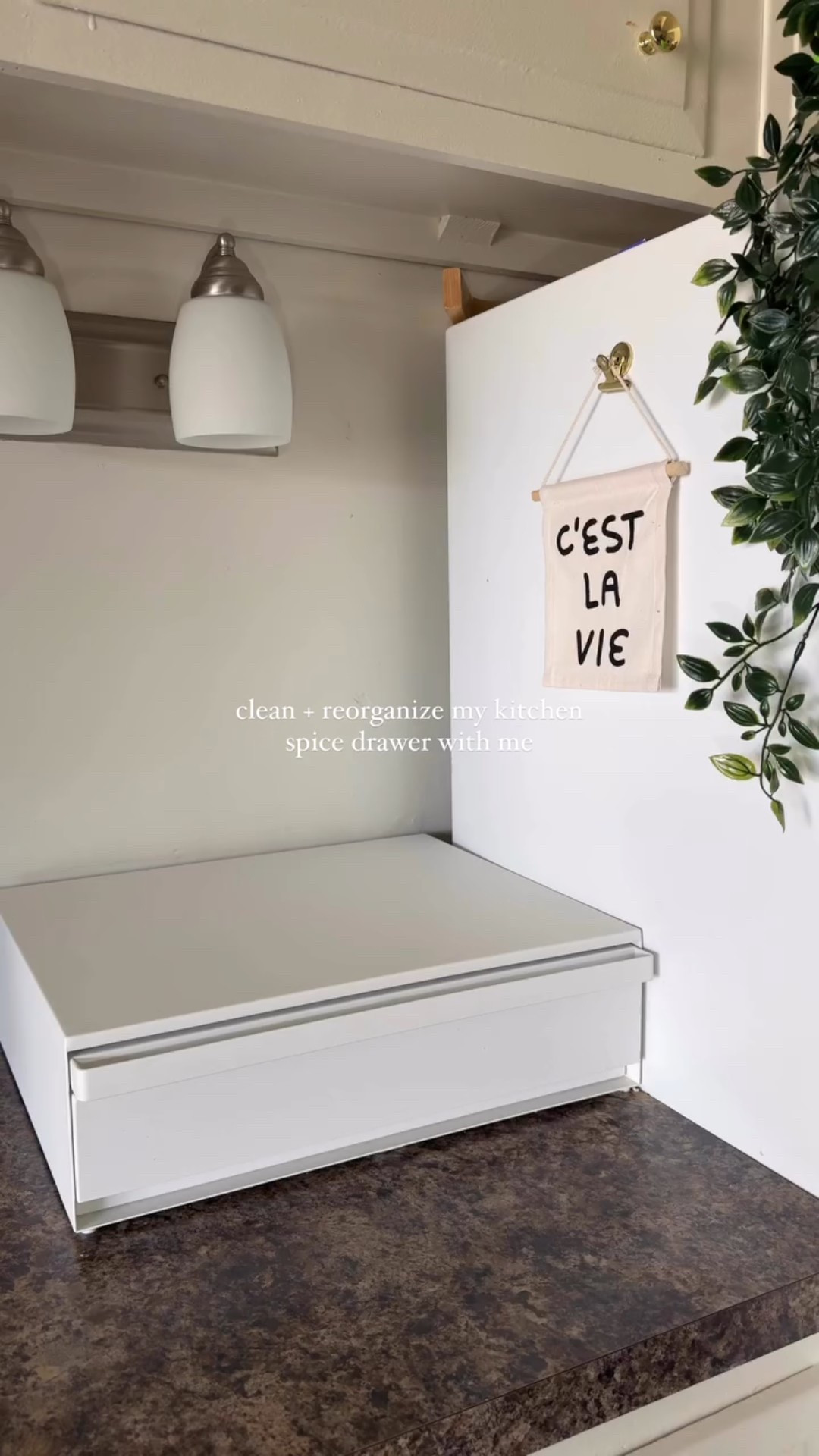 clean + organize my kitchen spice drawer w me [long overdue] 🫣 after weeks of avoiding pretty much every responsibility i have bc my mental health has been 🗑️ i’ve finally tackled some cleaning + organizing today to feel a little more control 😅

〰️ i linked everything on my amazon storefront + LTK 
if you want me to DM you everything, comment “ME” 🔗 
#amazonfinds #homeorganizing #kitchenorganization #spicejars #kitchenstorage #cleanwithme #amazonhomefinds

#LTKHome #LTKFindsUnder50 #LTKSaleAlert