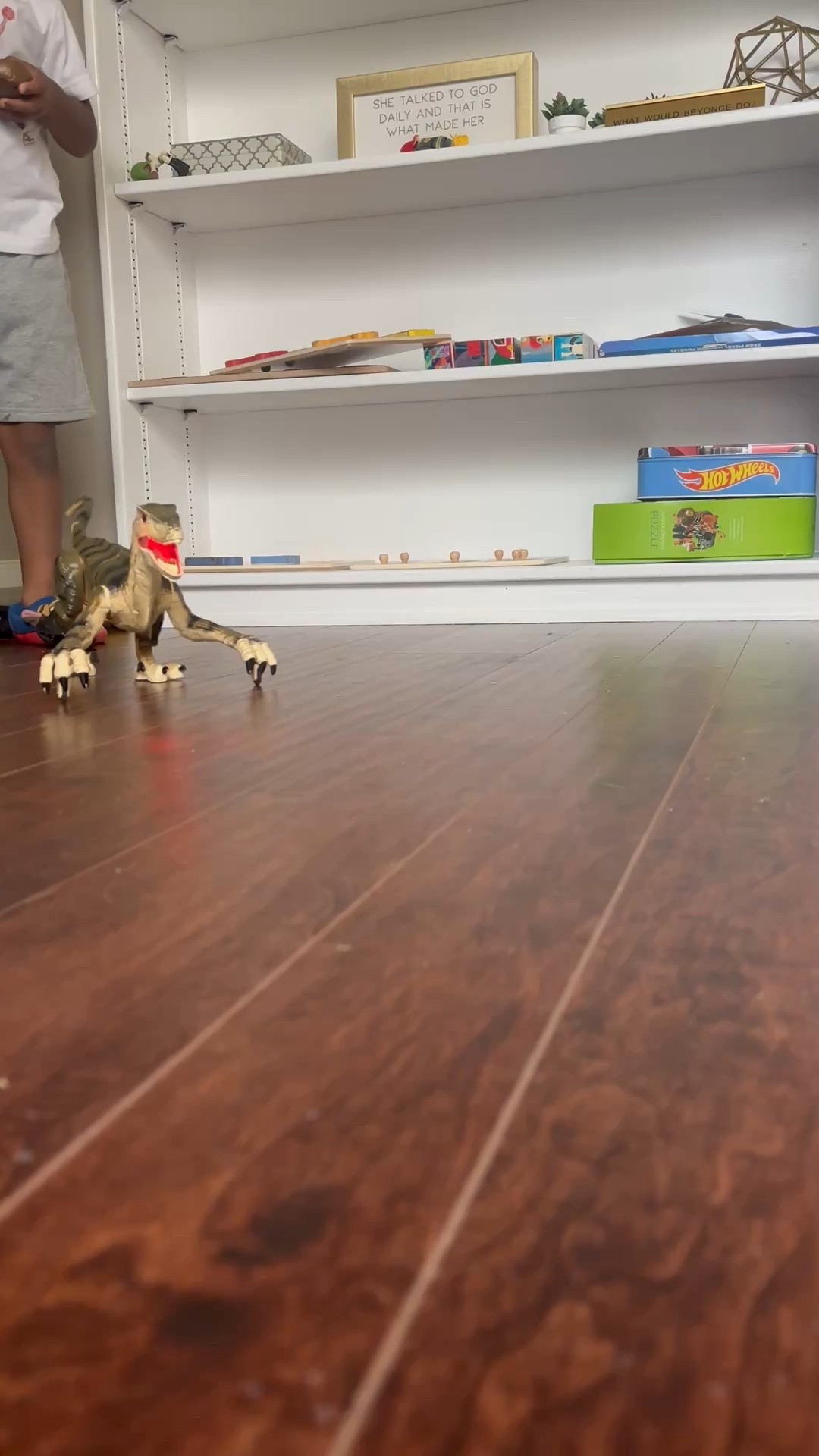Walking remote controlled dinosaur 🦖 your kids will love 

#LTKKids #LTKSeasonal #LTKFindsUnder50