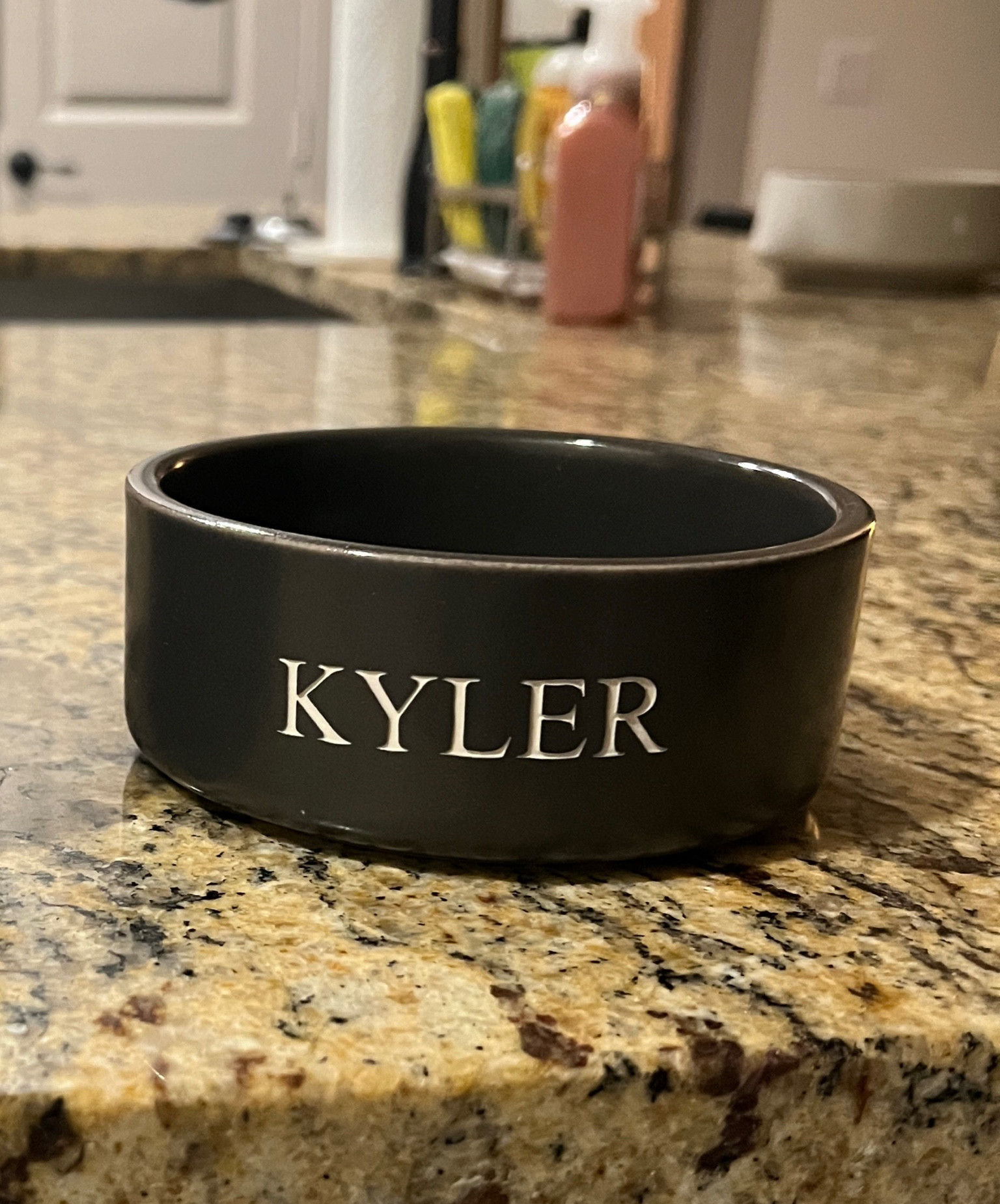 We got these custom dog bowls from Pottery Barn and they look so good😍

#LTKGiftGuide #LTKhome #LTKfindsunder50