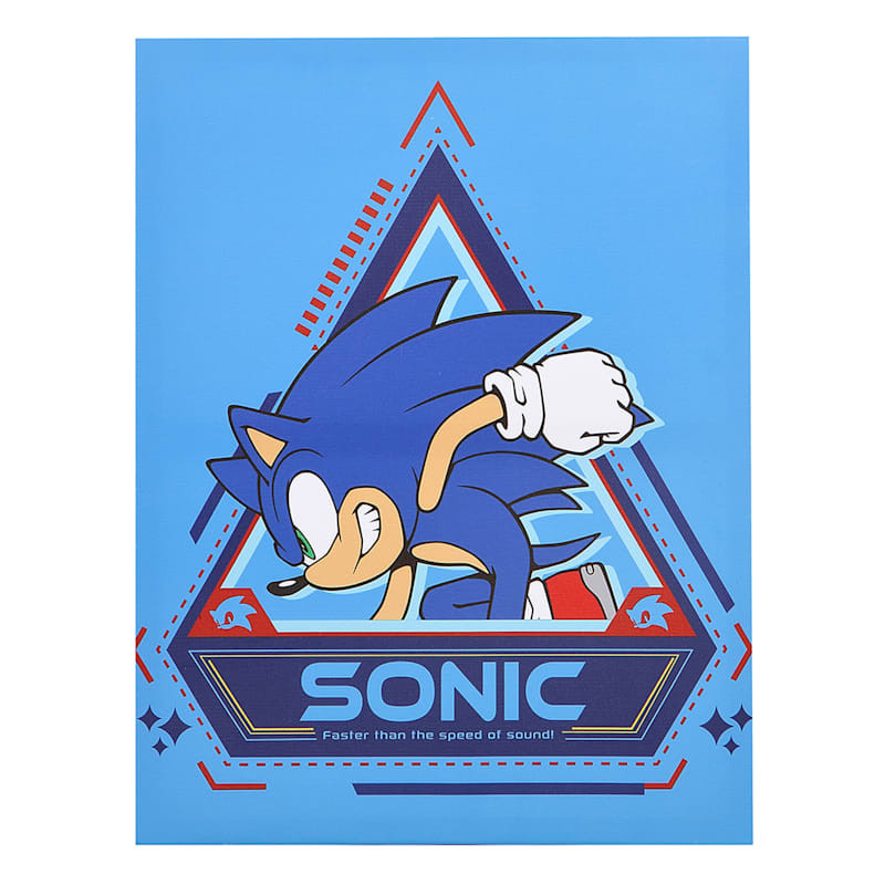 Sonic Canvas Wall Art, 11x14 | At Home