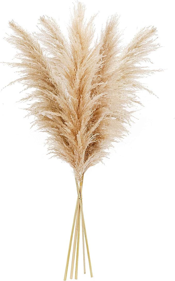BunnyEar Pampas Grass - 5 pcs Large Stems, 48-inch Tall - Fluffy Plumes Floral Boho Home Décor ... | Amazon (US)