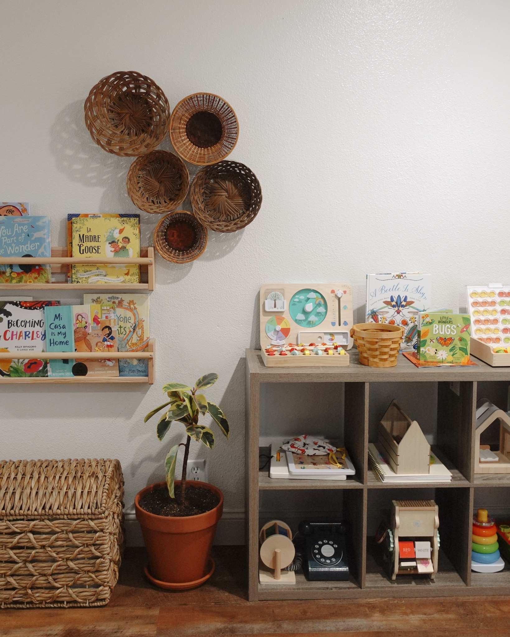 Currently playroom book and toy rotation 🪲🐛🐞🌞