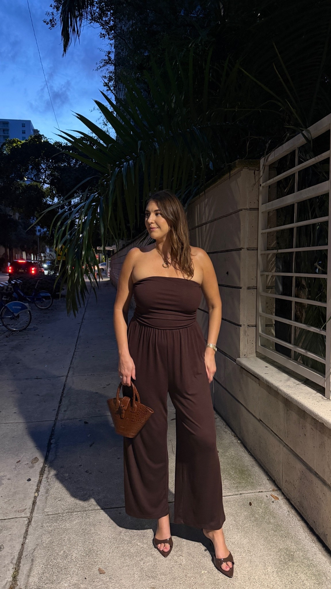 Chocolate brown is having a MOMENT 🤎 This strapless jumpsuit is such an easy one-and-done outfit and I love how elevated it looks with simple heels + a mini bag.

chocolate brown outfit, brown jumpsuit, strapless jumpsuit, fall outfit idea, midsize fashion, midsize style, size 12/14, date night outfit, Amazon fashion

#LTKootd #LTKMidsize #LTKTravel