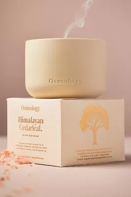 Osmology Himalayan Cedarleaf Boxed Candle | Anthropologie (US)