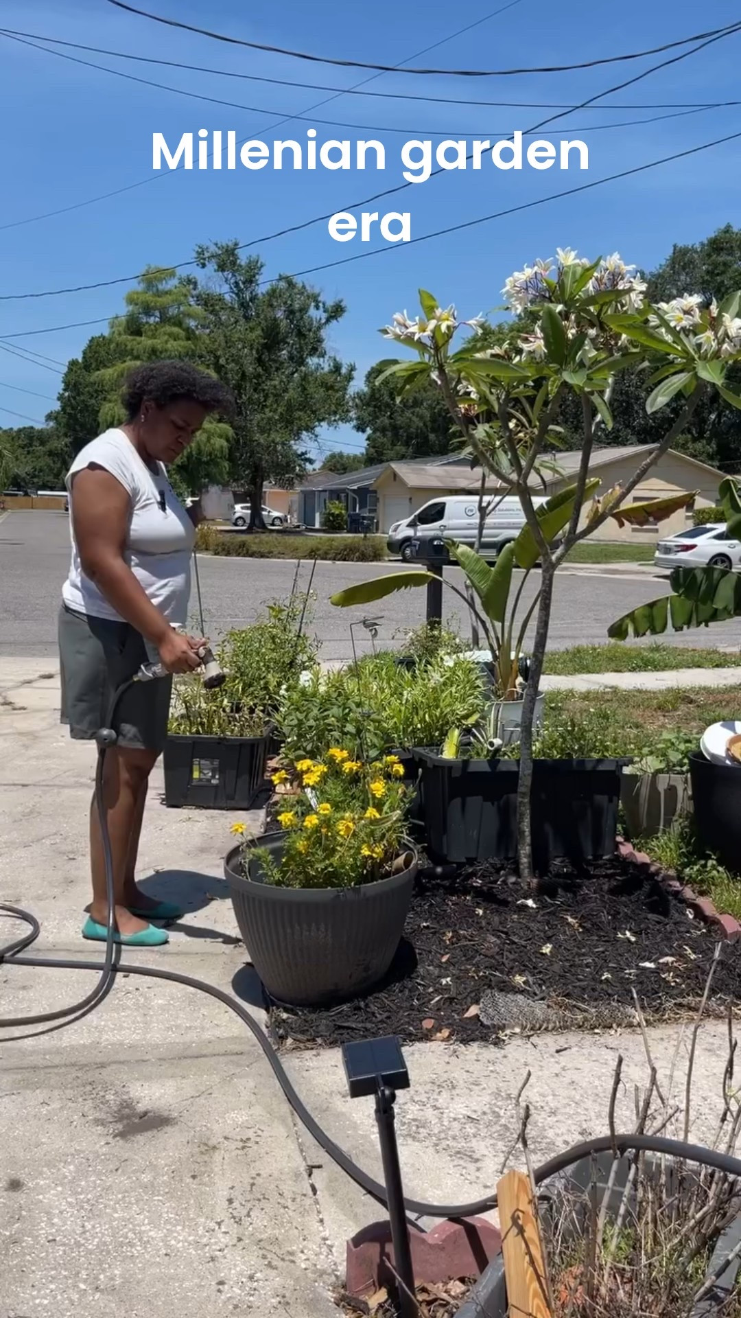 👩🏾‍🌾 Millennia garden era 🪴👩🏿‍🌾

Getting my daily dopamine boost checking in on my garden. It’s totally in in the front or else I’d forget them in the backyard 🤷🏽‍♀️🤦🏾‍♀️

I have tons of flowers growing
Hibiscus 🌺 
Plumeria
Mums
Roses 🌹 

Fruit
Dragon fruit 
Tomatoes 🍅 
*Soon* blueberries 🫐 

 #gardengirl #gardengirlgang #gardengirlsummer