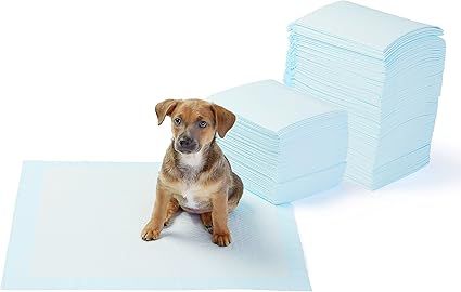 AmazonBasics Dog and Puppy Potty Training Pads, Regular Absorbency | Amazon (US)