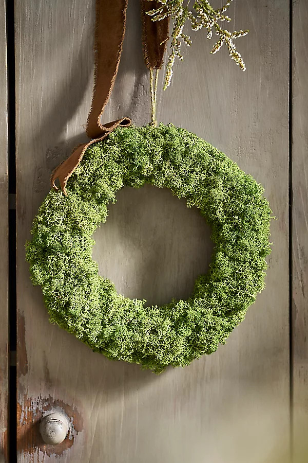 Reindeer Moss Circlet Wreath | Anthropologie (US)