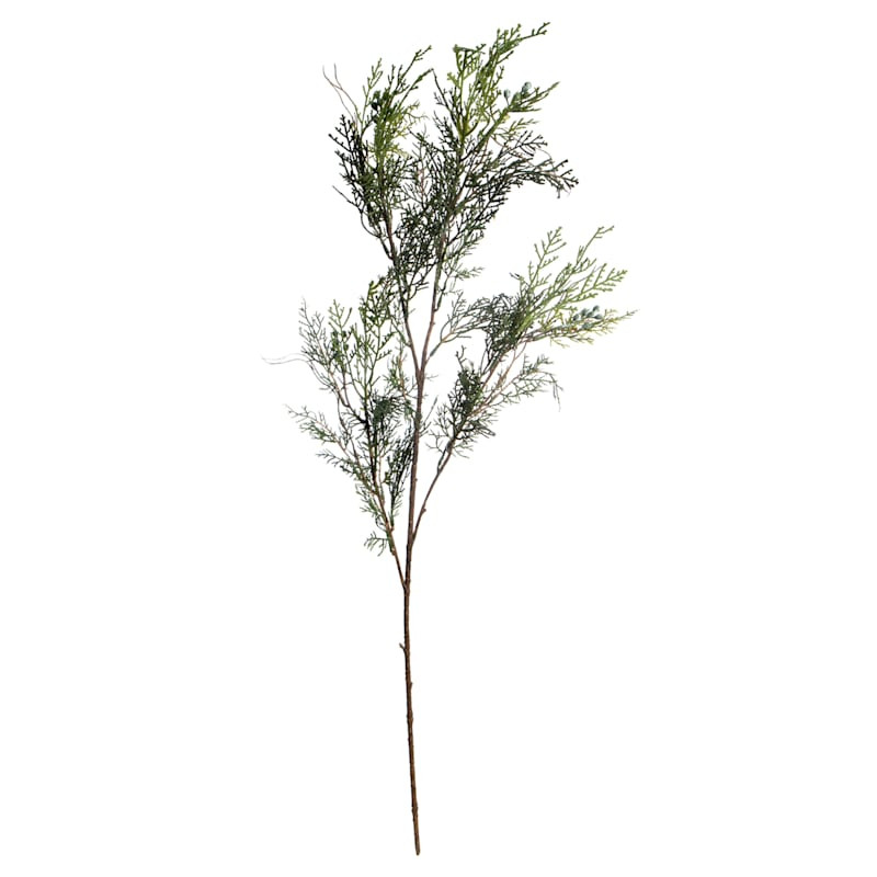Green Cedar Branch, 39" | At Home