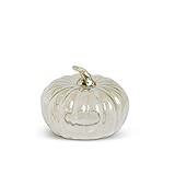 K&K Interiors 41567A-2 7 Inch Transparent Glass Pumpkin Cloche | Amazon (US)