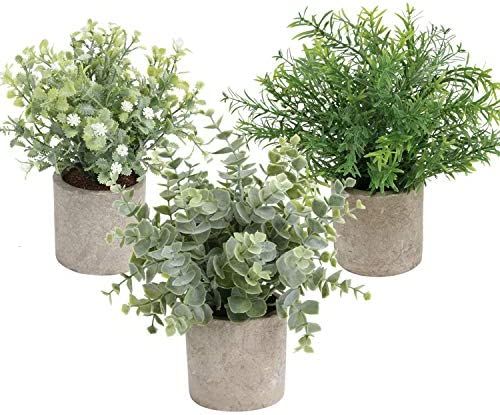Homcomoda Artificial Potted Plants Faux Eucalyptus Greenery in Pots Decorative Plant for Tabletop Dé | Amazon (CA)