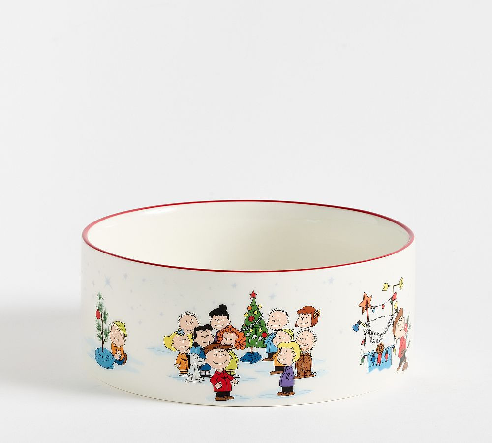 Charlie Brown Christmas Pet Bowl, Large | Pottery Barn (US)
