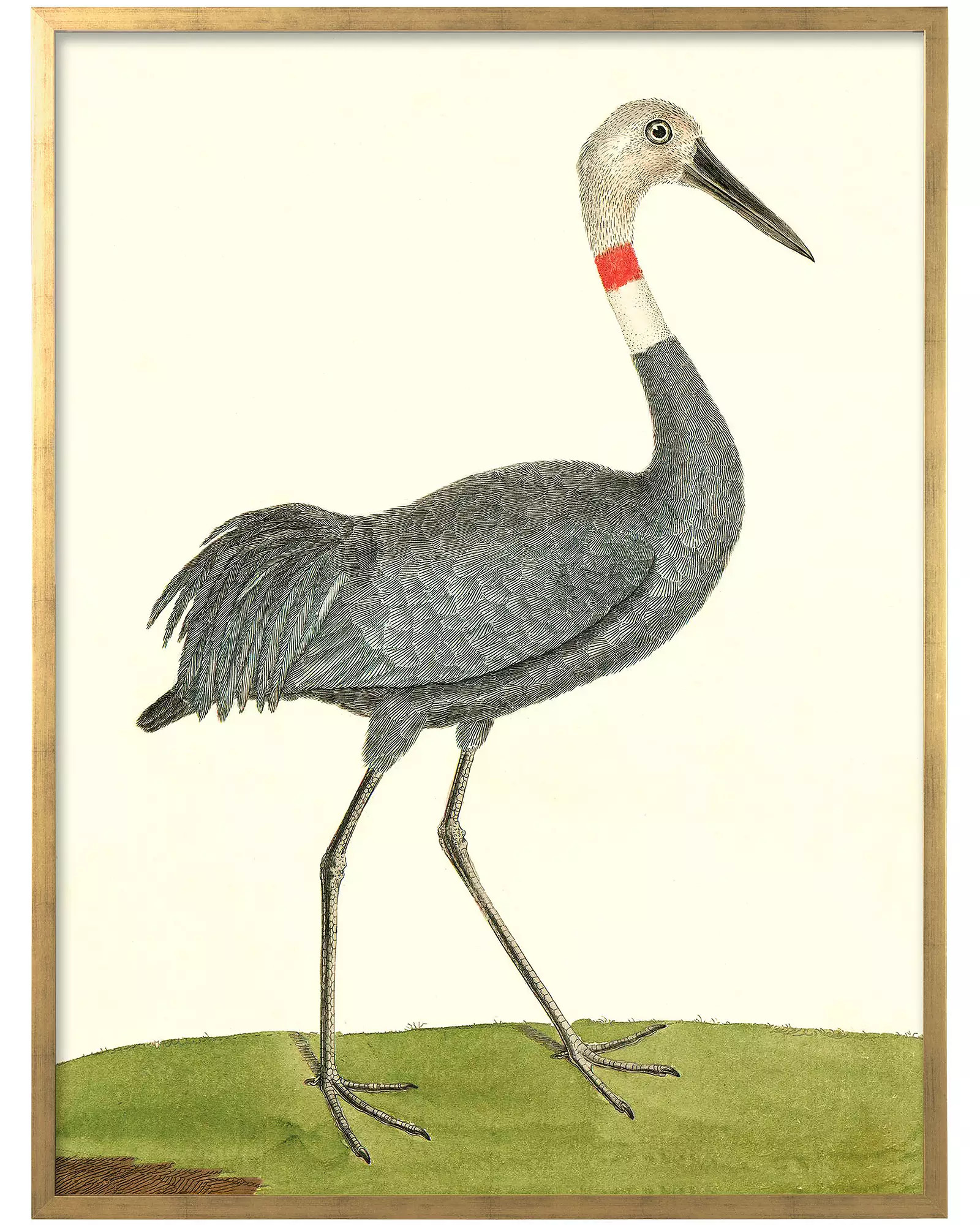 "Large Vintage Birds" in Gold Frame by Whalebone Creek | Serena and Lily