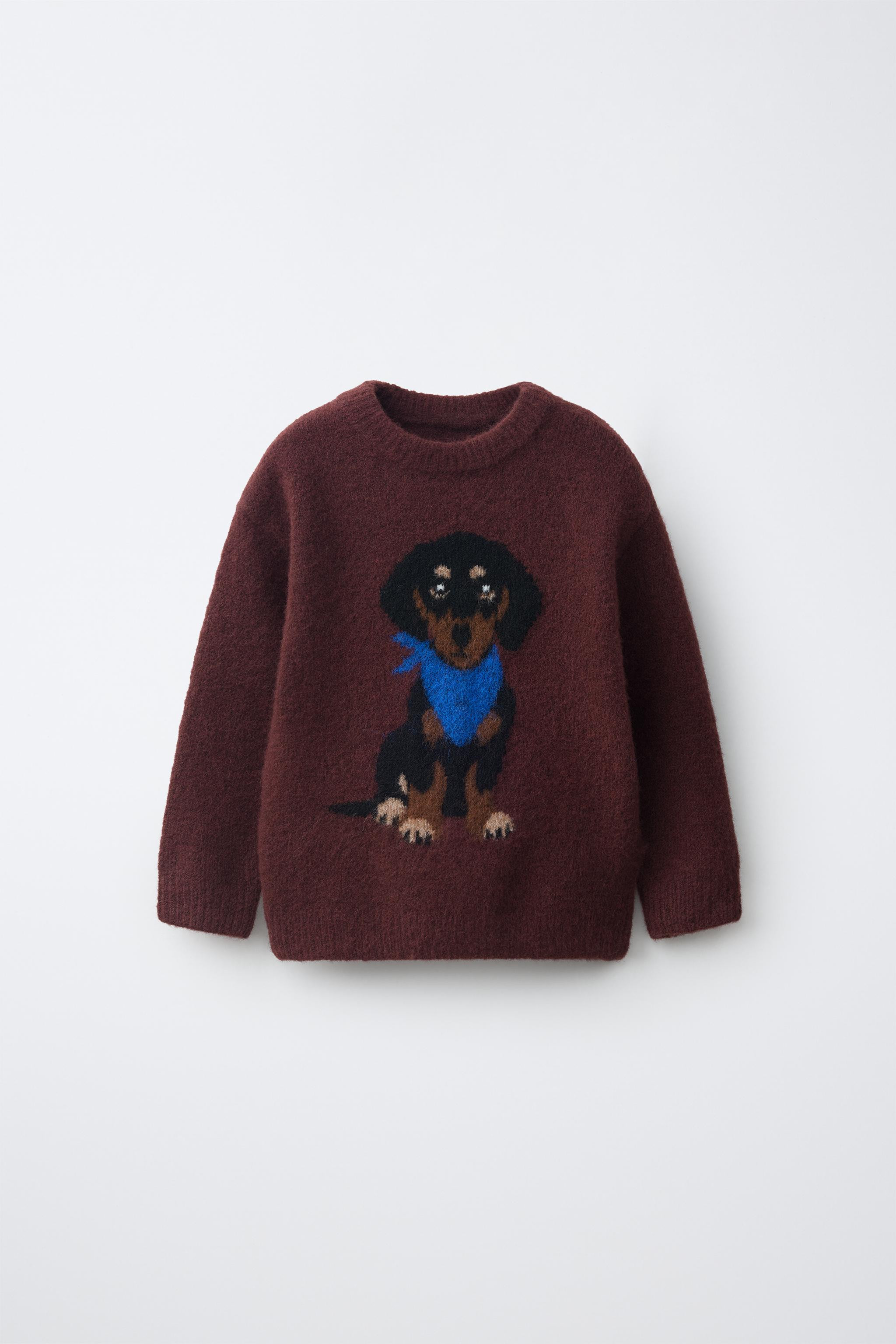 STRICKPULLOVER MIT GESTICKTEM HUND | Zara DE