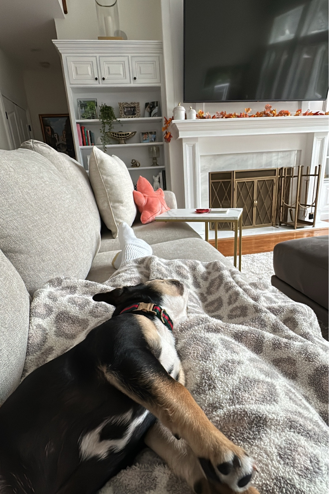 Rainy day calls for naps on cozy blankets (linked a dupe)

#LTKGiftGuide #LTKhome #LTKSeasonal