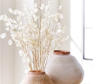 Dried Lunaria Bundle | Pottery Barn (US)