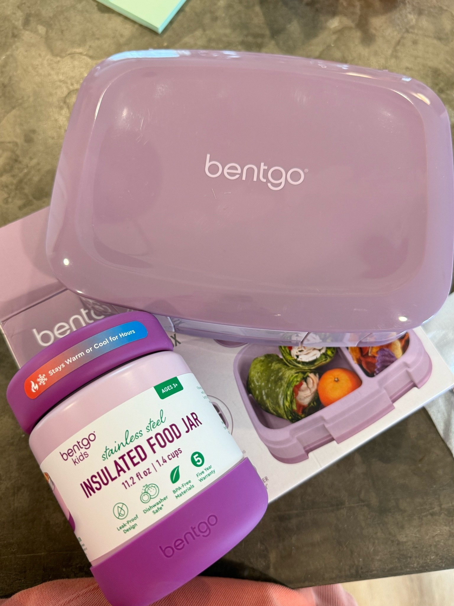 Kids lunch containers - our fav! Back to school favs / school lunch finds

#LTKfoodie #LTKKids