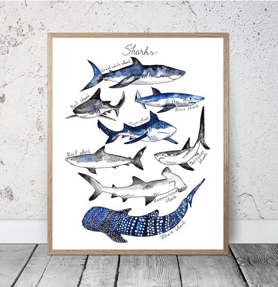 Watercolor Shark Print Nautical Decor Ocean Sharks Print Kids Room Decor Nursery Boys Room Shark ... | Etsy (US)