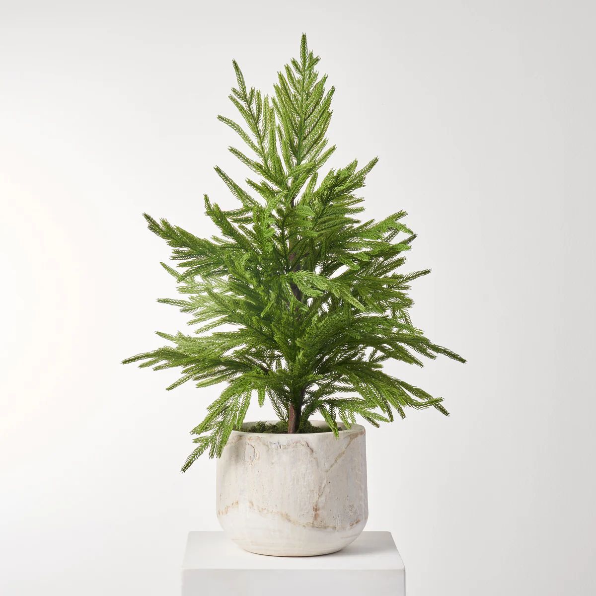 Real Touch Norfolk Pine Faux Tree In Potted in Natural Wood Planter Bowl | Darby Creek Trading