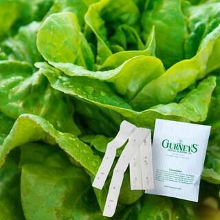 Gurney's Lettuce Head Buttercruch 15 ft. Seed Tape-16672 - The Home Depot | The Home Depot