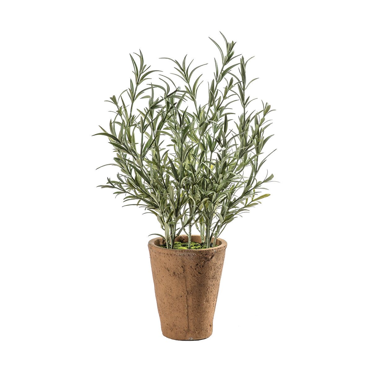 48cm Artificial Lavender Olive Tree Clay Pot | La Redoute (UK)