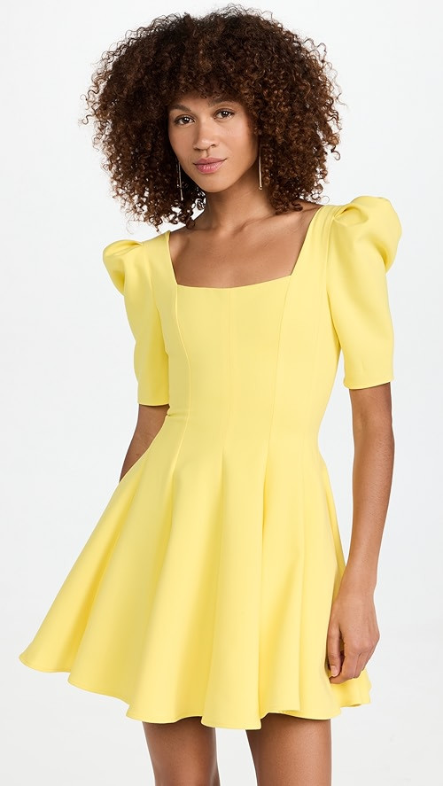 Bambi Mini Dress | Shopbop