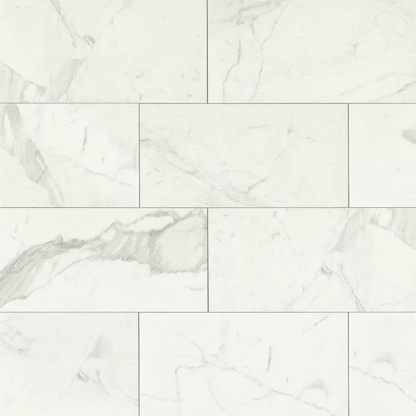 12" x 24" Porcelain Field Tile in Statuarietto | Wayfair North America